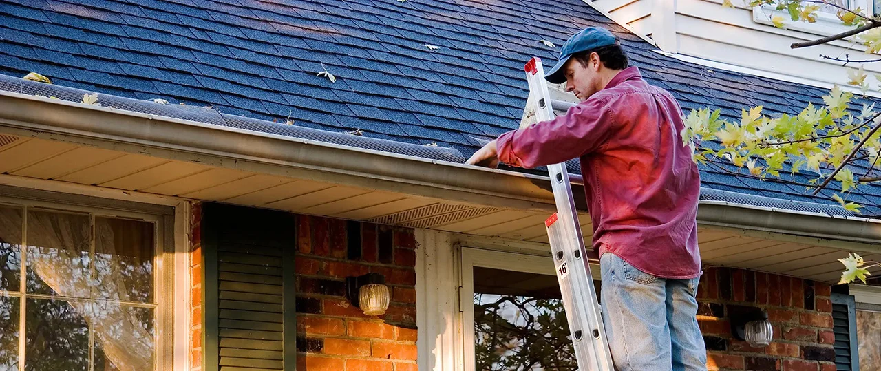 Roof Maintenance